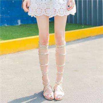 大众彩票入口welcomeapp下载